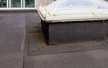 disadvantages of Trimdon flat roofs