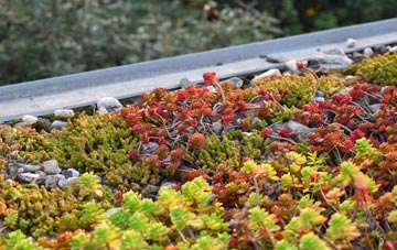 the cost of Trimdon green roof installation