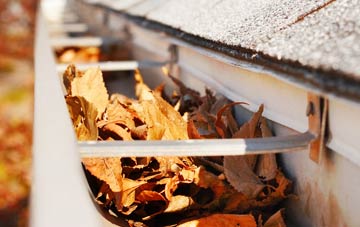 Trimdon gutter cleaning companies