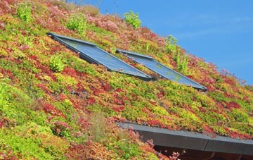 Trimdon living roof systems