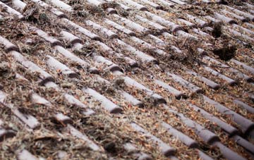 Trimdon roof cleaning companies